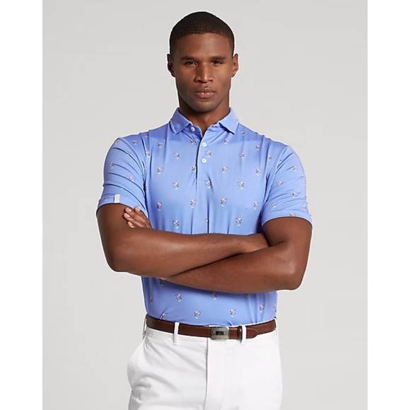 RLX Ralph Lauren Men's Golf Polo Shirt Blue Performance Flamingo Print Size XL - Picture 2 of 5